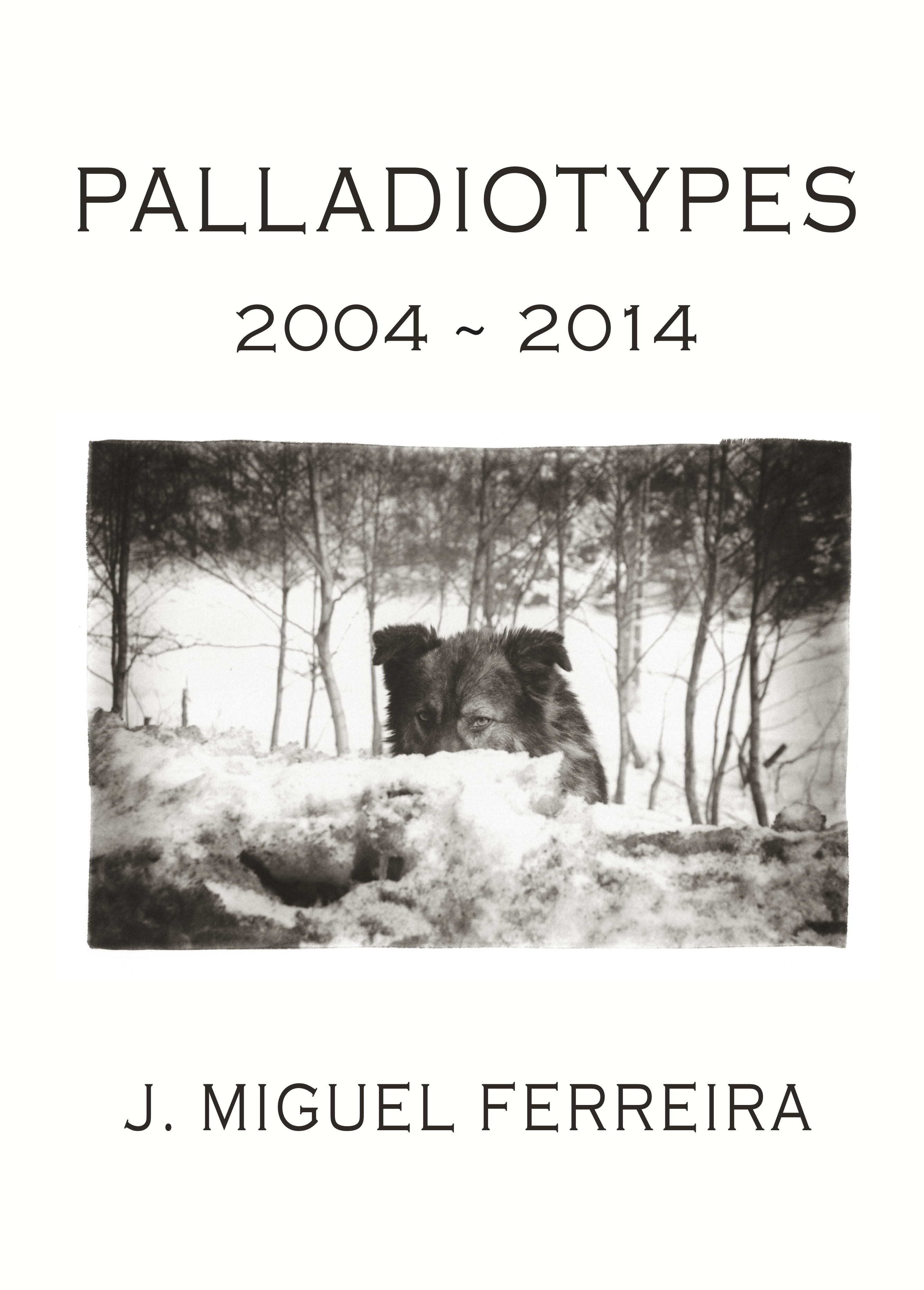 PALLADIOTYPES 2004-2014 PALLADIOTYPES 2004-2014